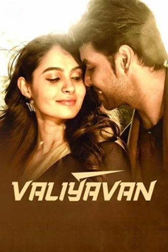 Download Valiyavan | 2015 | Hindi DD2.0 + Tamil DD2.0 | Dual Audio | WEB-DL | Full Movie 480p 720p 1080p