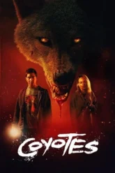 rMaOdvw0i1087BK+i+9i+9i744y4654yi (1)